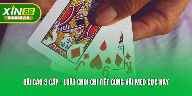 Bài Cào 3 Cây - Luật Chơi Chi Tiết Cùng Vài Mẹo Cực Hay