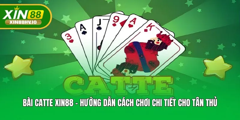 Bài Catte Xin88 - Hướng Dẫn Cách Chơi Chi Tiết Cho Tân Thủ