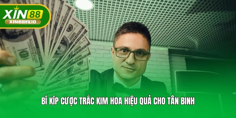 Bí kíp cược trắc kim hoa hiệu quả cho tân binh