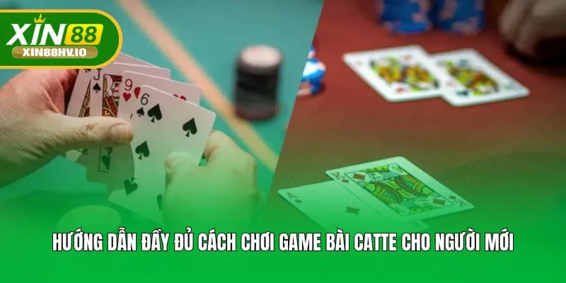 Hướng dẫn đầy đủ cách chơi game bài Catte cho người mới