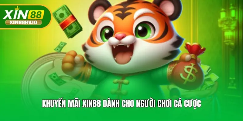 Khuyến mãi Xin88 dành cho người chơi cá cược