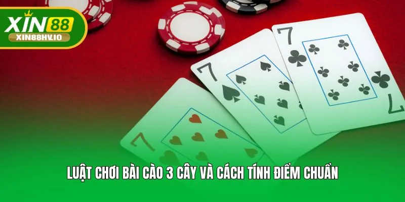 Luật chơi bài cào 3 cây và cách tính điểm chuẩn