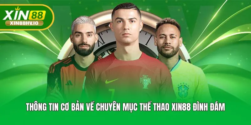 Thông tin cơ bản về chuyên mục thể thao XIN88 đình đám