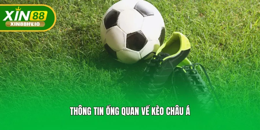 Thông tin tổng quan về kèo châu Á